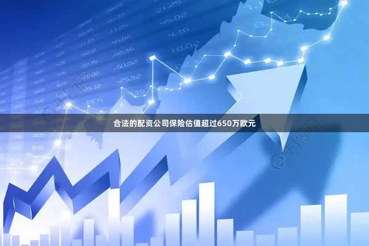 合法的配资公司保险估值超过650万欧元